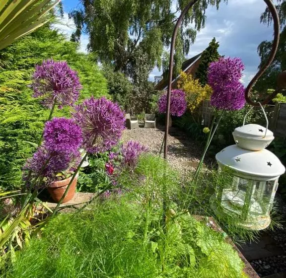 North View B&b