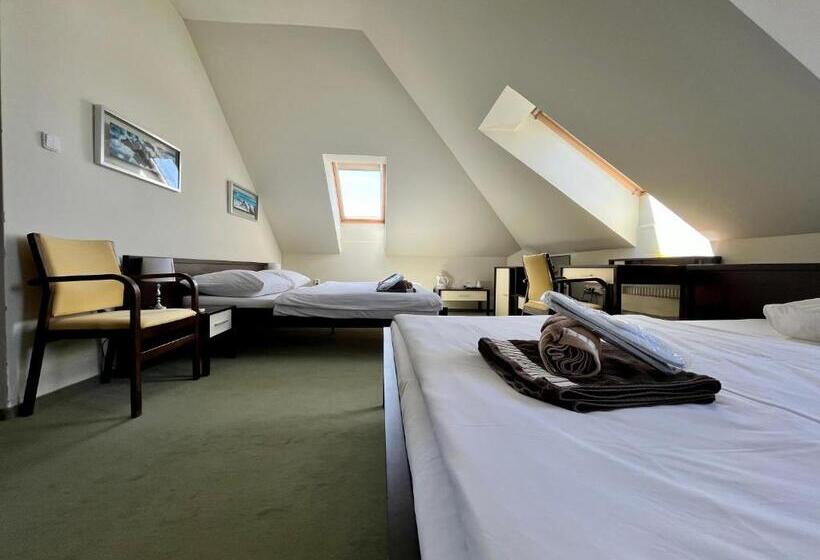 Пансион Penzion Félix