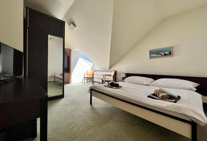 Пансион Penzion Félix