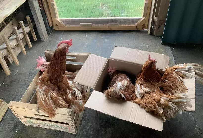 B&b Ecoantico Casa In Paglia