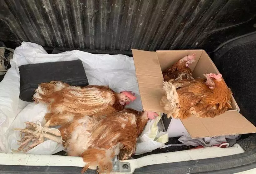 B&b Ecoantico Casa In Paglia