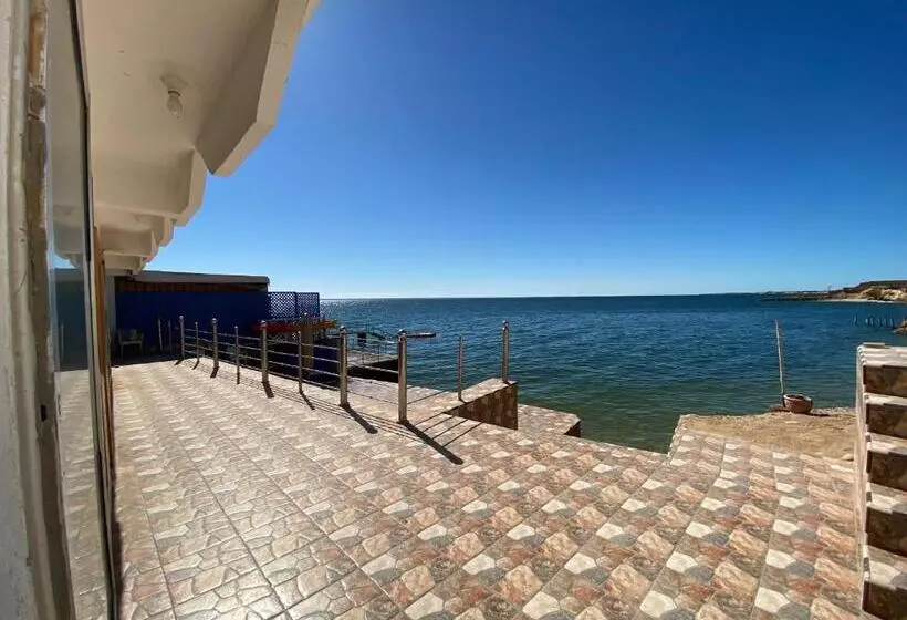 ベッドアンドブレックファースト Hébergement Dakhla Plaisance