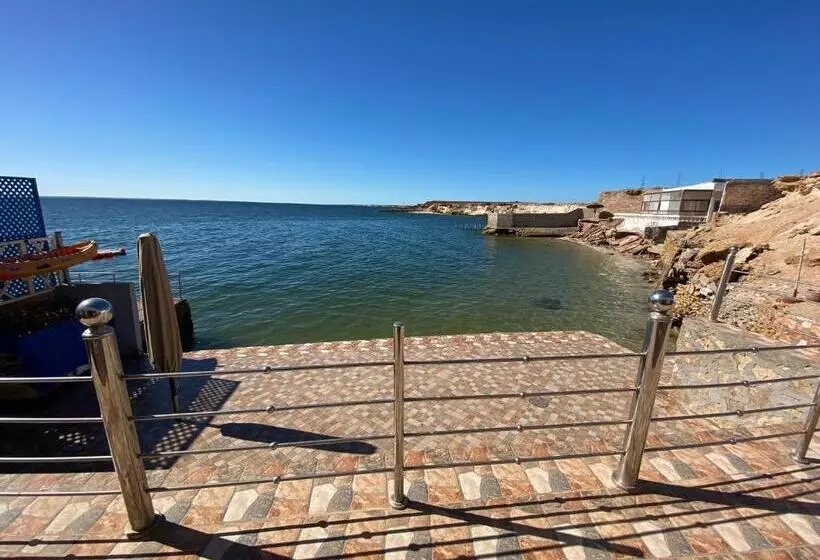 ベッドアンドブレックファースト Hébergement Dakhla Plaisance