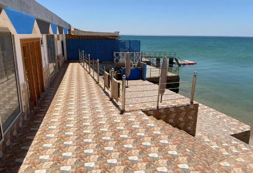 ベッドアンドブレックファースト Hébergement Dakhla Plaisance
