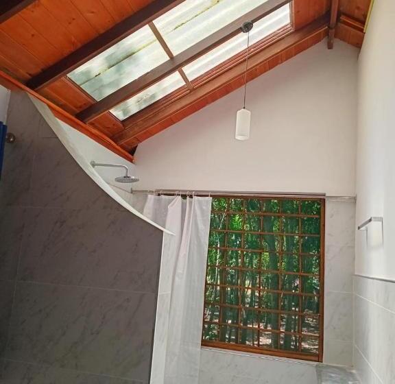 Hotel Jbs Mango Villa