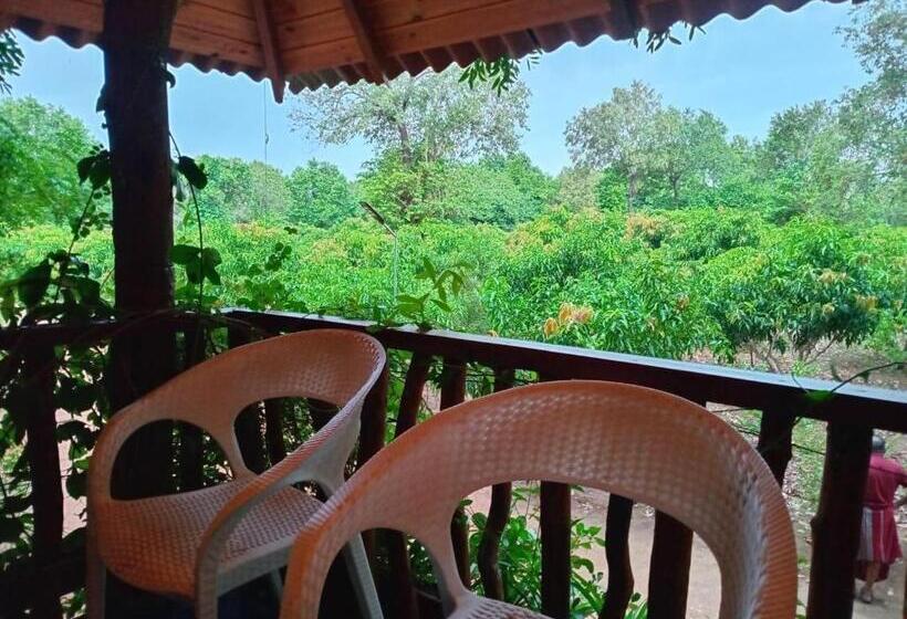 Hotel Jbs Mango Villa