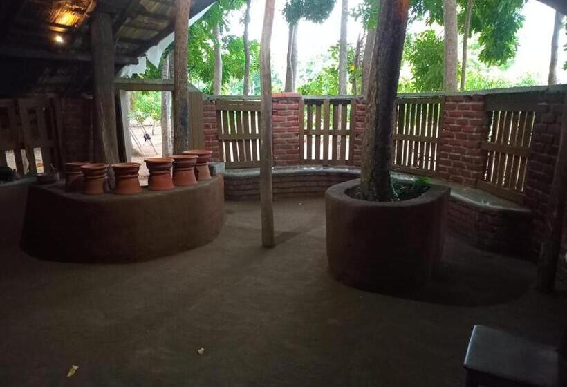 Hotel Jbs Mango Villa