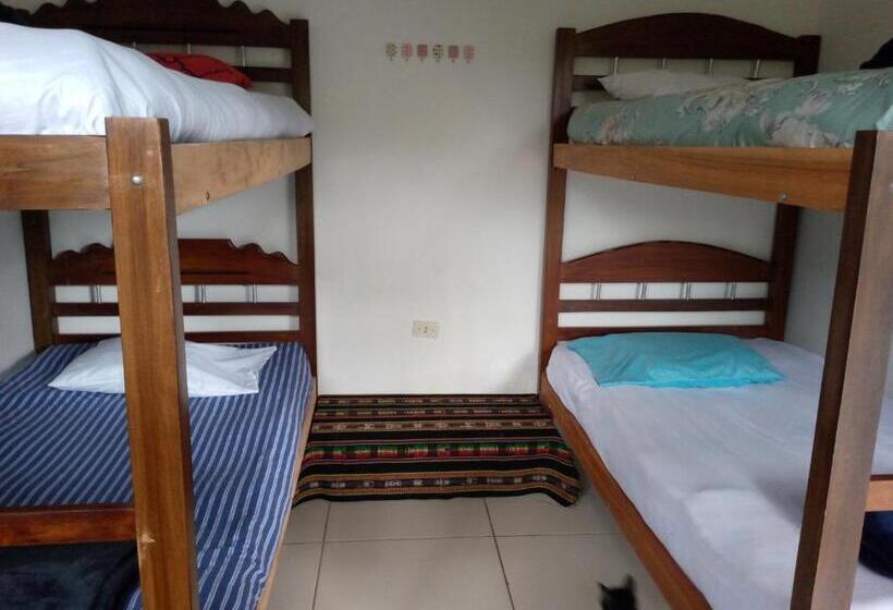 پانسیون Samailandia