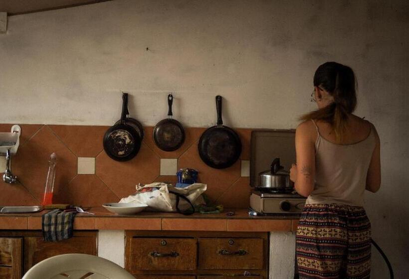 پانسیون Samailandia