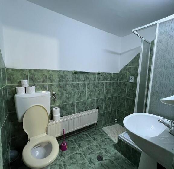 Pensiunea Aurora Vartop