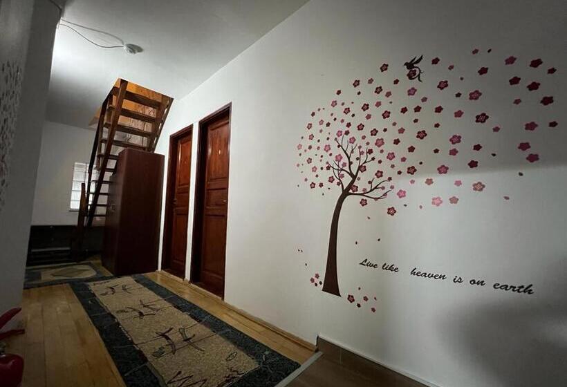 Pensiunea Aurora Vartop