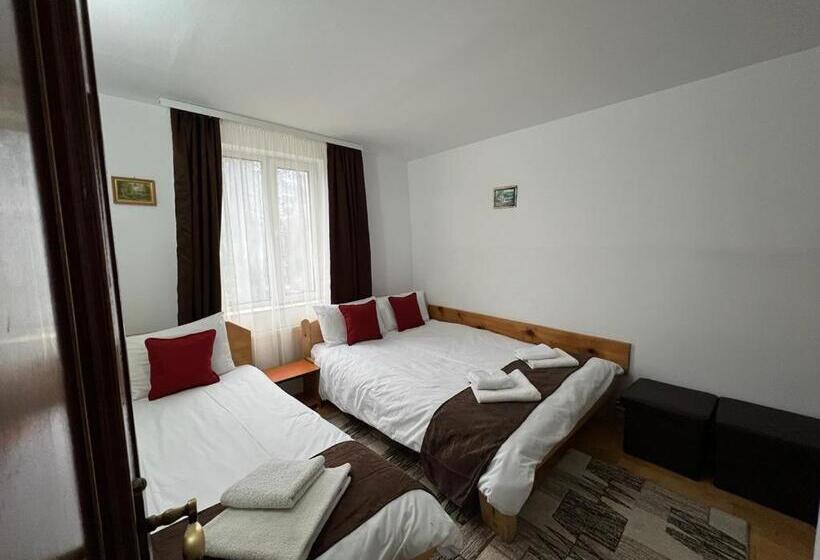 Pensiunea Aurora Vartop