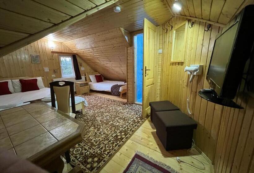 Pensiunea Aurora Vartop