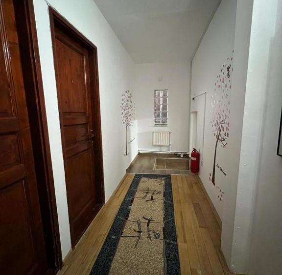 Pensiunea Aurora Vartop