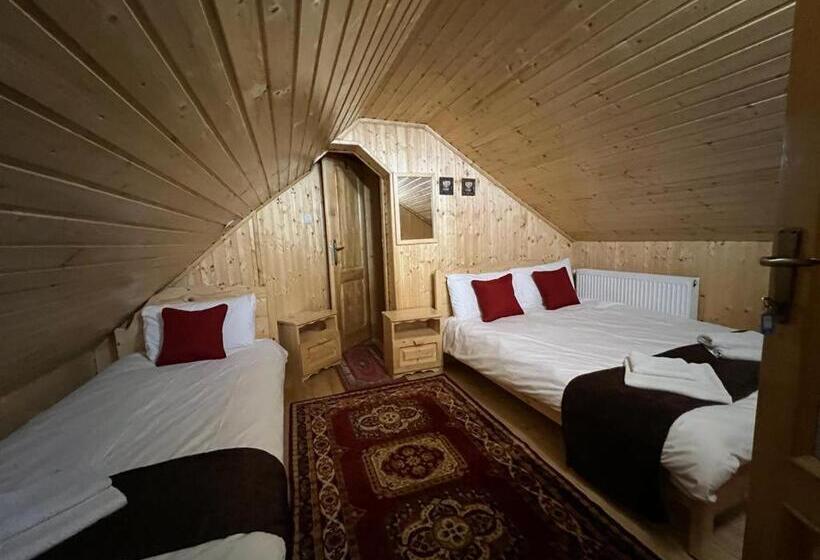 Pensiunea Aurora Vartop