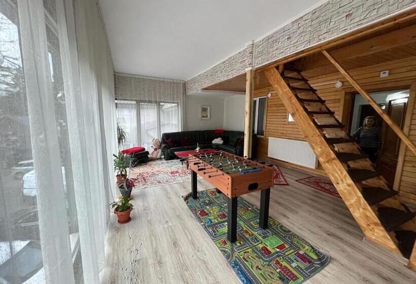 Pensiunea Aurora Vartop