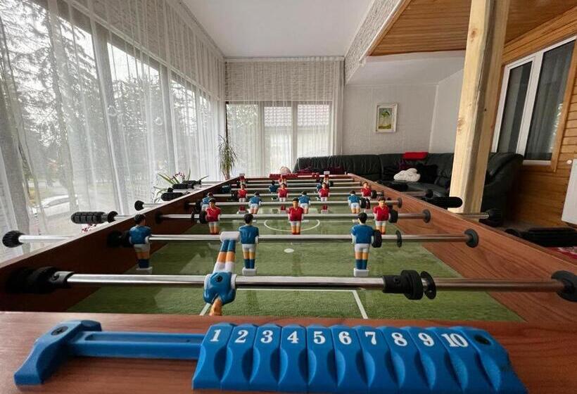 Pensiunea Aurora Vartop