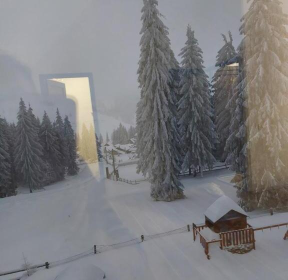 Pensiunea Aurora Vartop