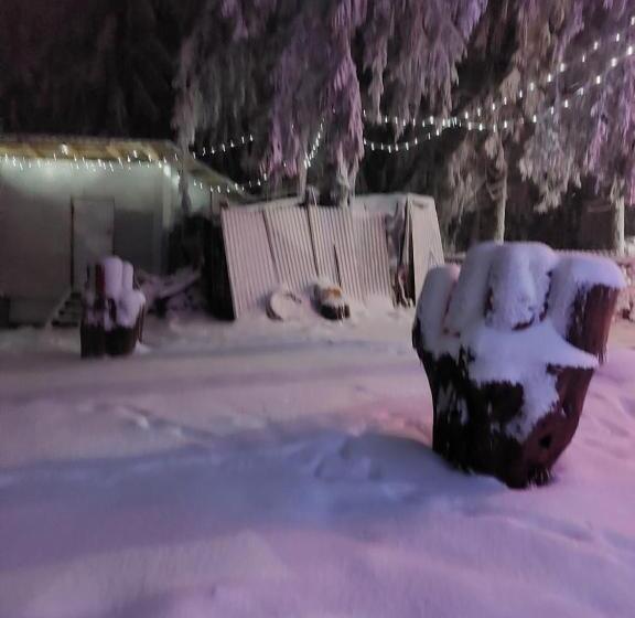 Pensiunea Aurora Vartop