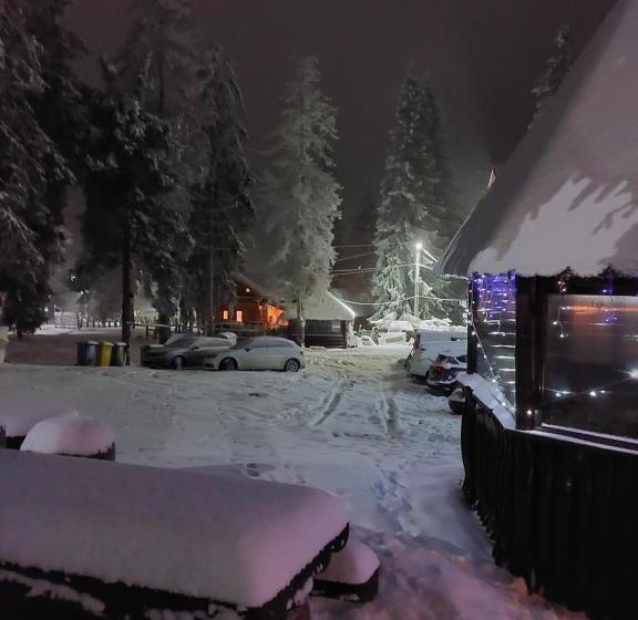 Pensiunea Aurora Vartop