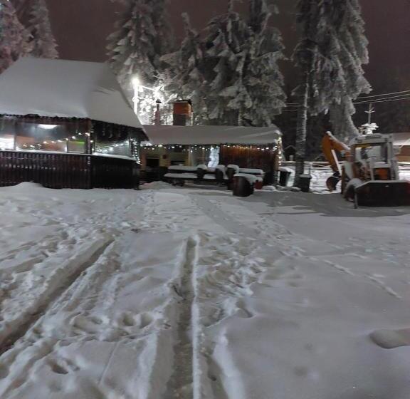 Pensiunea Aurora Vartop