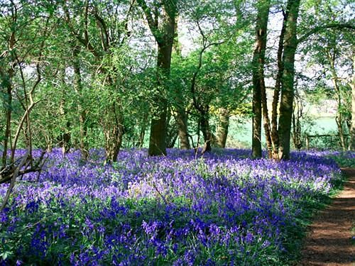 تختخواب و صبحانه Bridge Cottage