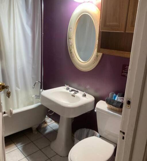 مبيت وإفطار Old Chicago Inn