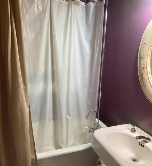 مبيت وإفطار Old Chicago Inn