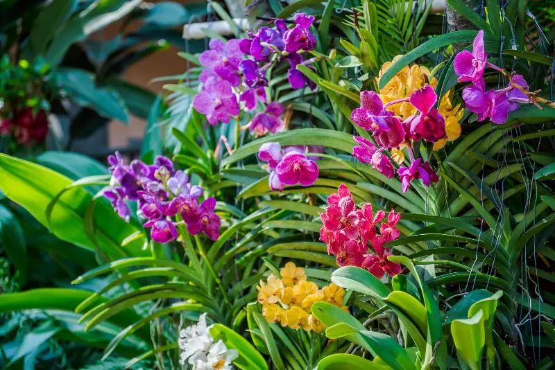 בית מלון כפרי Anantasila Beach Resort Hua Hin