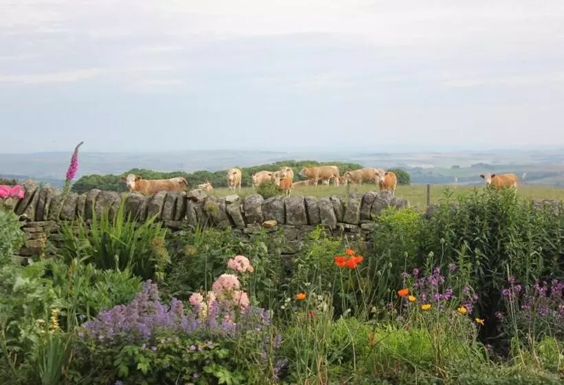 هتل High Keenley Fell Farm