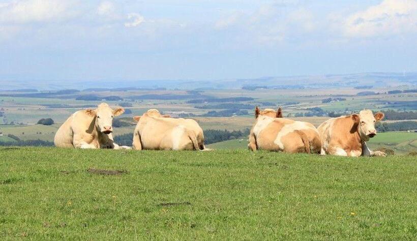 ホテル High Keenley Fell Farm