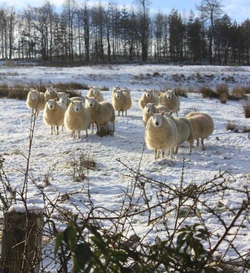 ホテル High Keenley Fell Farm