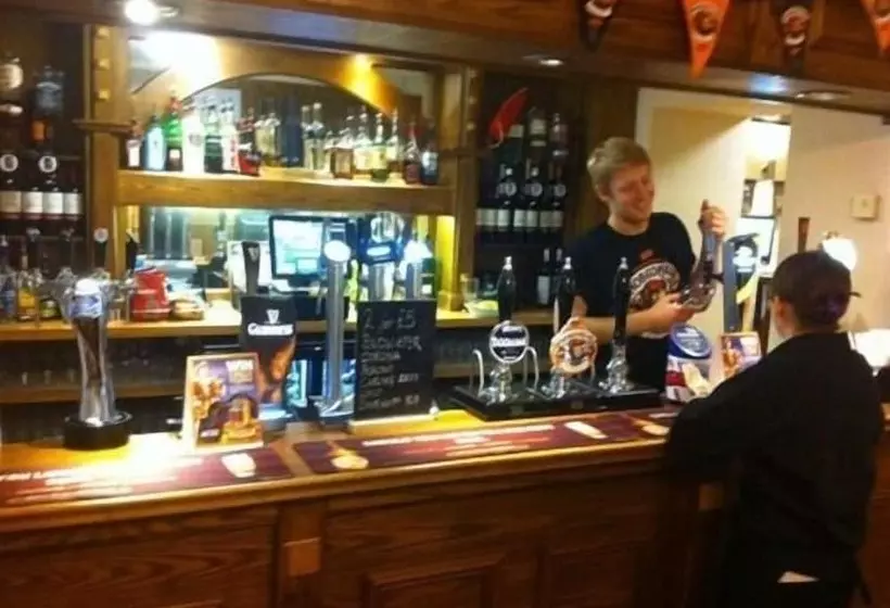 酒店 The Begelly Arms