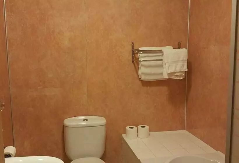 酒店 The Begelly Arms