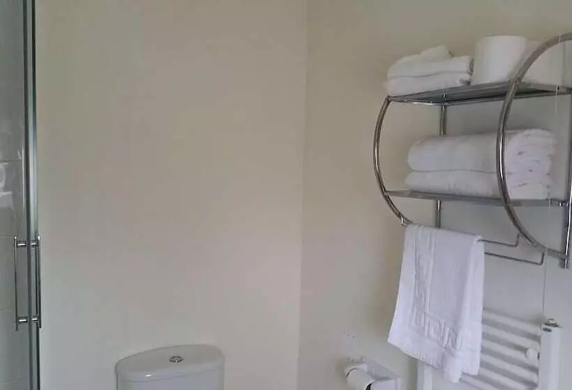 酒店 The Begelly Arms