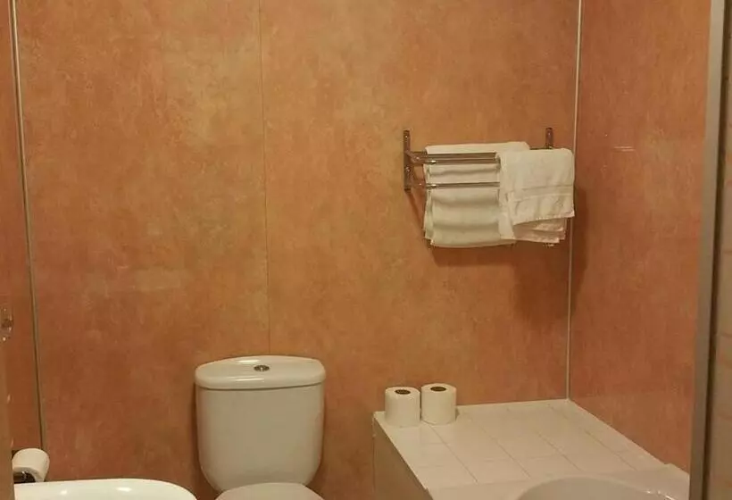 酒店 The Begelly Arms