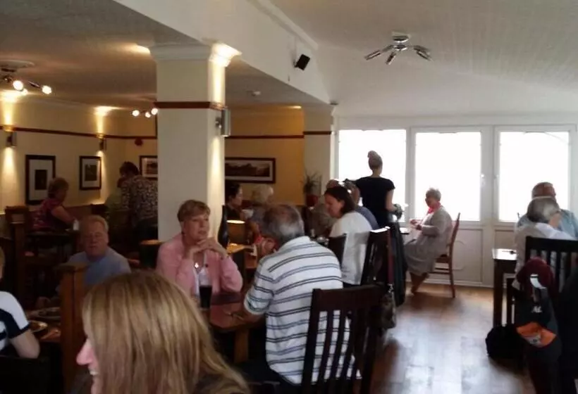 酒店 The Begelly Arms