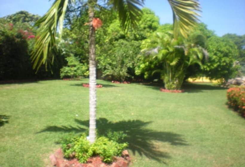 پانسیون Villa Sonate