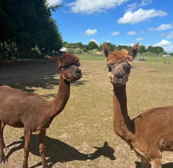 Stonehenge Hostel   Yha Affliated