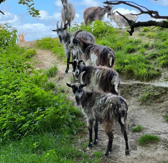 Stonehenge Hostel   Yha Affliated