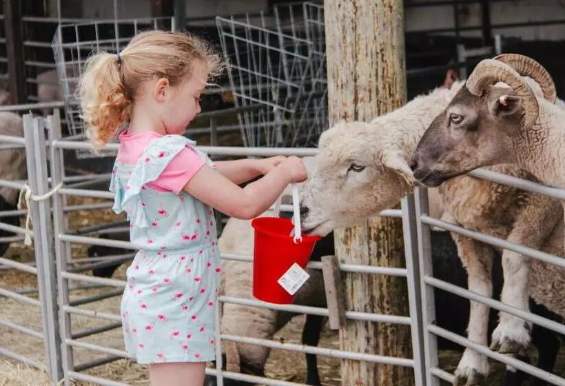 Stonehenge Hostel   Yha Affliated