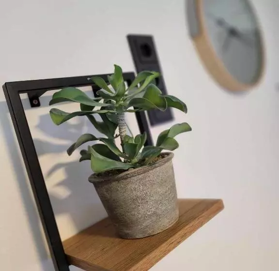 ベッドアンドブレックファースト Leni S Mountain Appartements