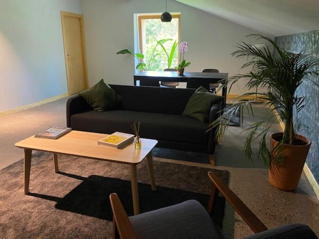 فندق Agroturismo Azkarraga