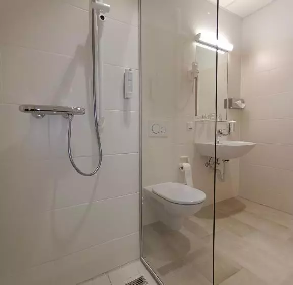 Hotelli Gesundheits  & Wellnessresort Salzerbad