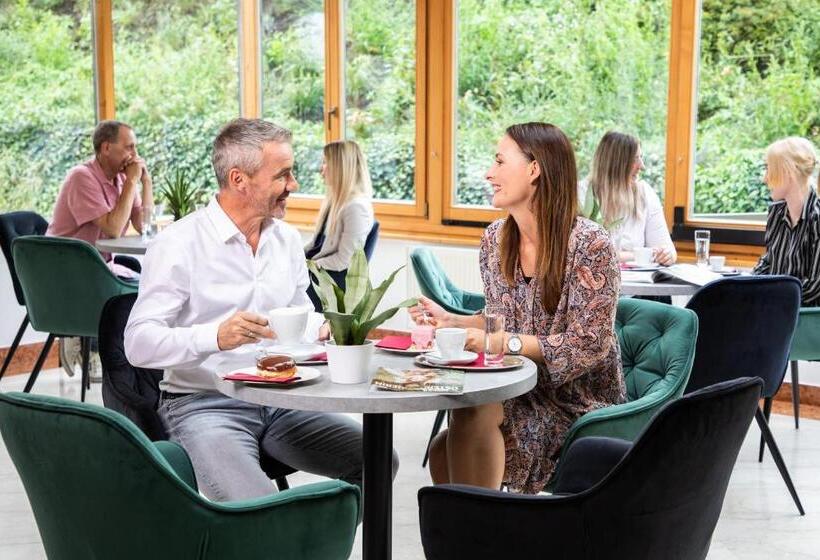 호텔 Gesundheits & Wellnessresort Salzerbad