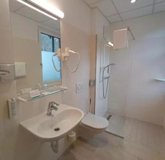 Hotelli Gesundheits  & Wellnessresort Salzerbad