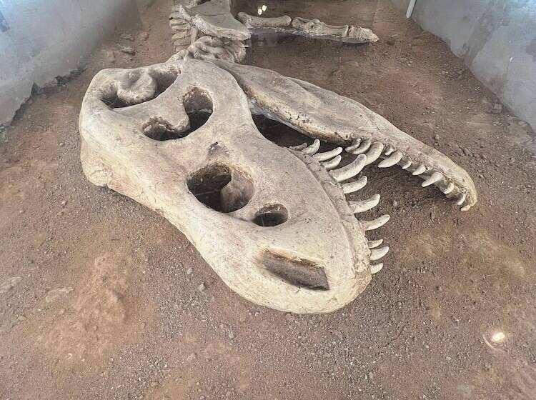 هتل La Culta Hostal & Casa Cultural