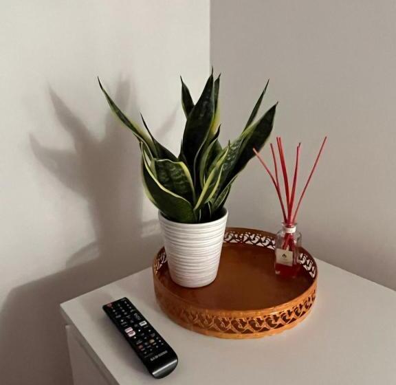 פנסיון Dag Petit Relais