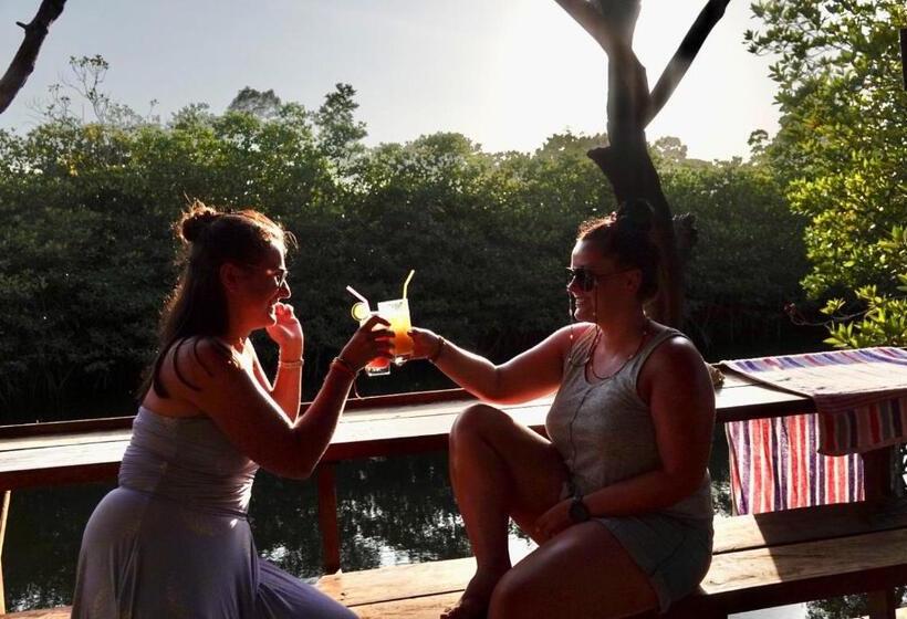 Pensió Lily S Riverhouse