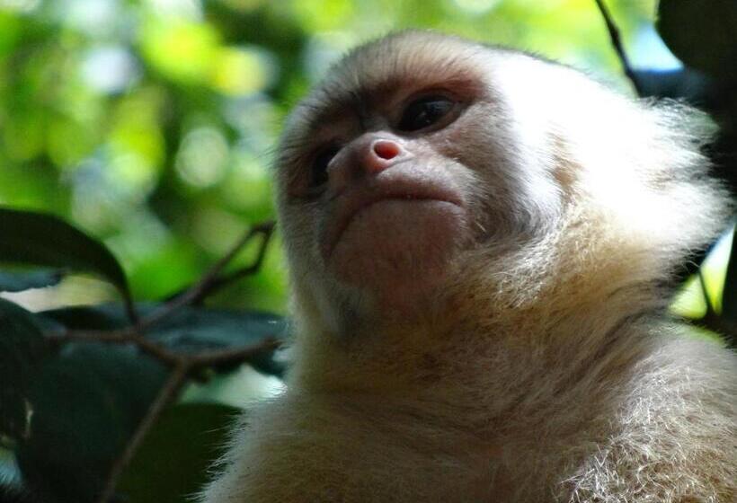 استراحتگاه Villa Ananda